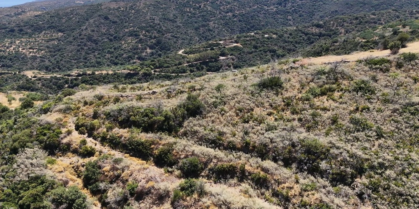 303A - Agia Anastasia - Plot with spectacular view (14) (Custom)